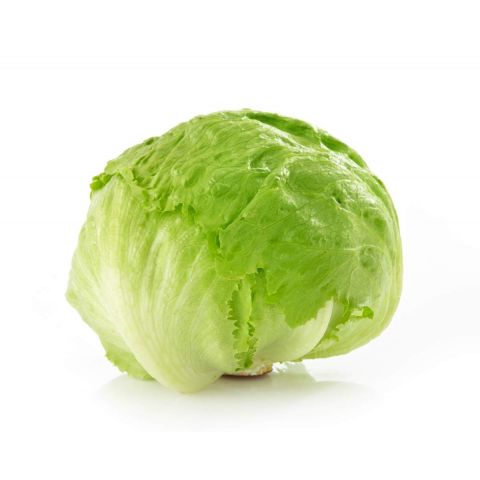 iceberg-lettuce