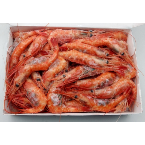 甜蝦(有殼)(50-70) 1公斤