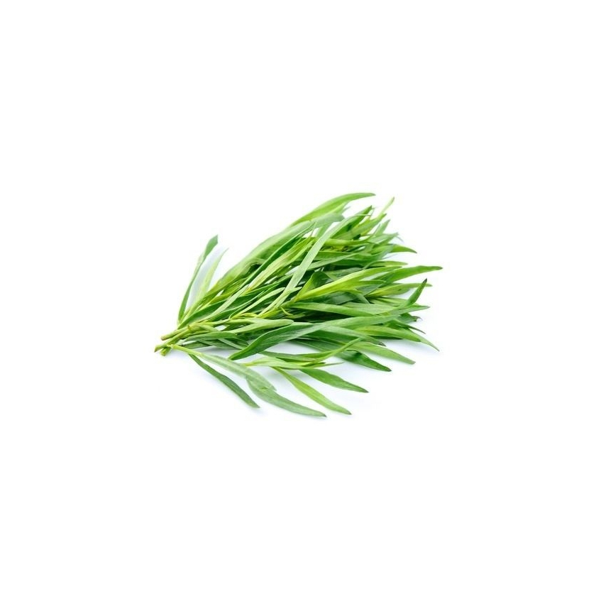 Tarragon