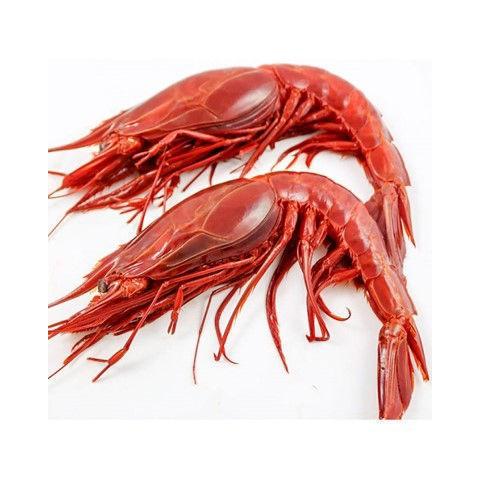 西班牙紅蝦