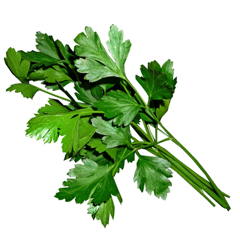 Flat Leaf Parsley