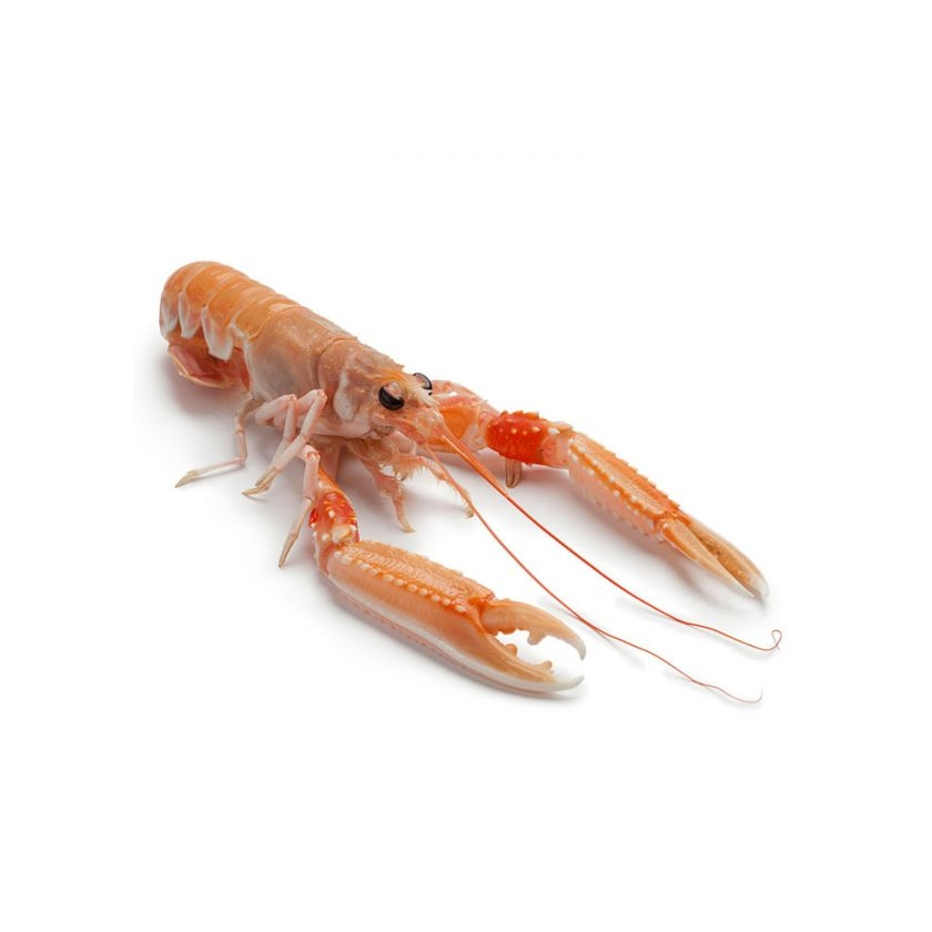 Langoustine